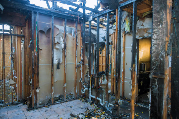 Professional Fire Damage Repair technician working in View Park-Windsor Hills, CA